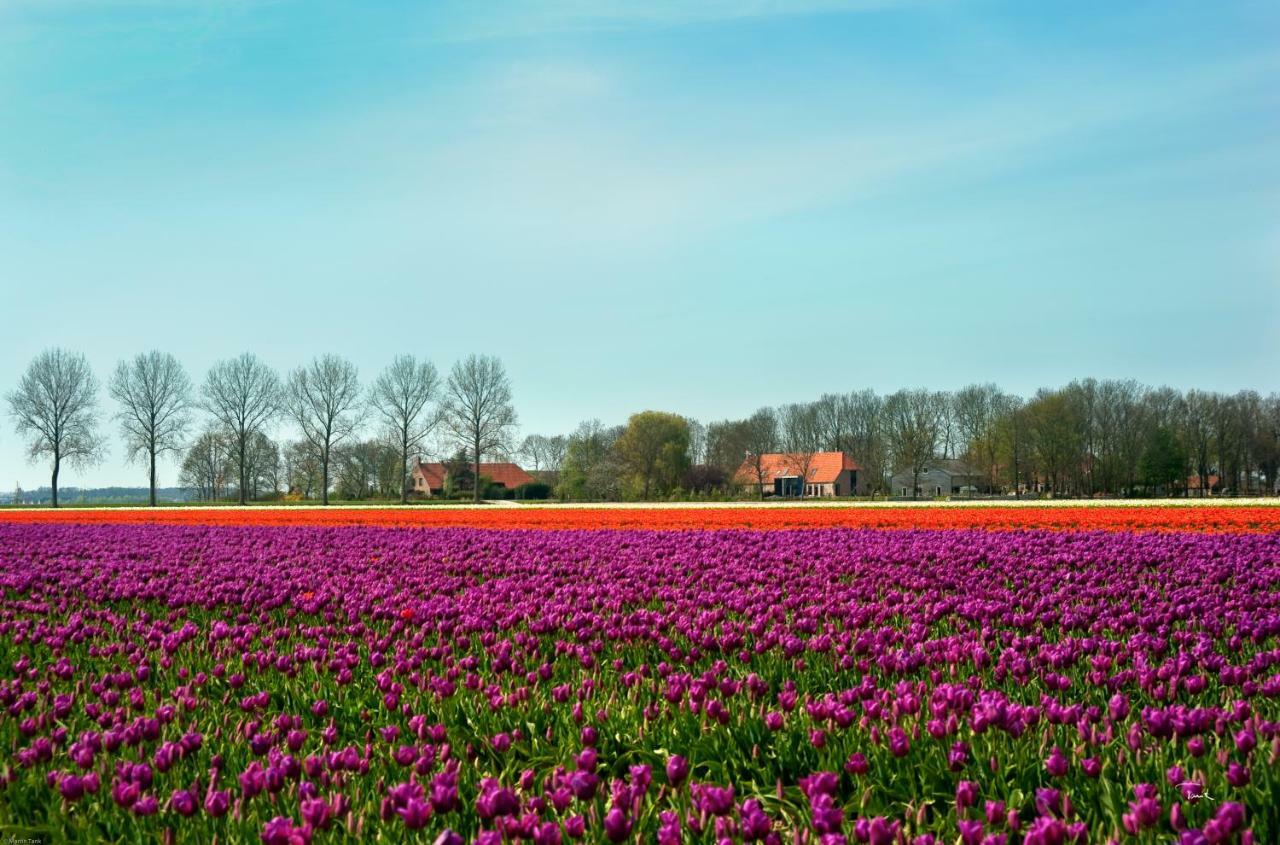 B&B De Strandhoeve Giethoorn Exterior photo